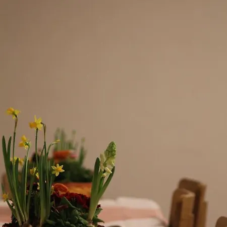 Institut St.sebastian * זלצבורג